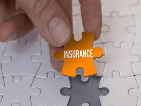 Term Insurance Plan: Which term insurance plan is best for you?