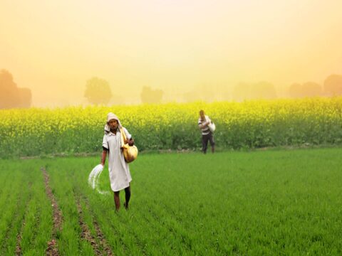 PM Kisan | Economic Survey 2023: 11.3 cr farmers covered under PM Kisan, Rs 2 lakh cr disbursed; how to apply