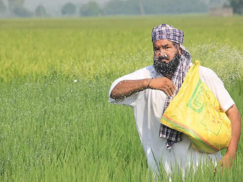 food subsidy bill india: India’s food subsidy bill cut by 22%, fertiliser 31%