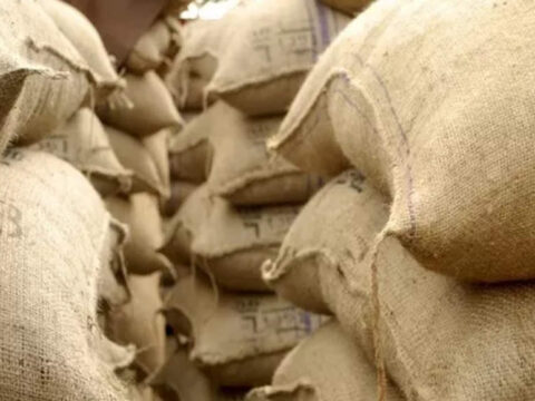 Kendriya Bhandar Wheat Flour Sale: Kendriya Bhandar begins sale of wheat flour at lower rate of Rs 29.50/kg; Nafed, NCCF to start from Feb 6