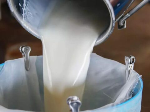 India ranks first, contributes 24 pc of global milk production: Centre to Lower House