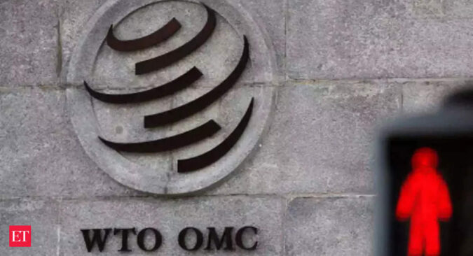 India seeks talks before WTO fixes ecommerce rules