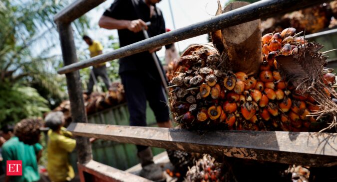 Palm Oil Exports: Indonesia's plans to restrict palm oil exports are unlikely to hit India