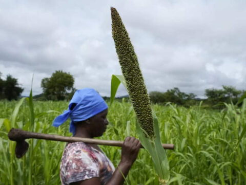 india: India appeals to G20 nations to adopt '3S' formula in agriculture for tackling food security concerns