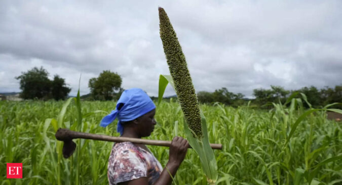 india: India appeals to G20 nations to adopt '3S' formula in agriculture for tackling food security concerns