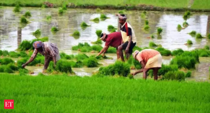 Drone use not limited to pesticide spraying; tremendous scope in organic, natural farming too: Govt