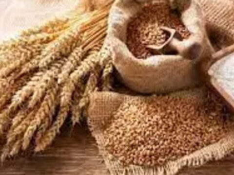 Govt further cuts reserve price of FCI wheat to Rs 2,150 per quintal for bulk users to check prices