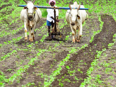 Retail inflation for farm workers rises to 6.85% in January