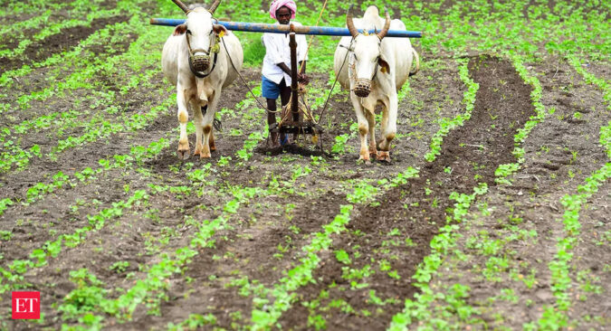 Retail inflation for farm workers rises to 6.85% in January