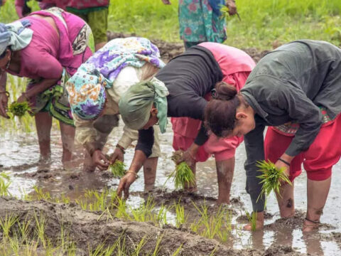 UP Rural Welfare: UP budget seeks to strike balance between farmer, rural welfare and infra development