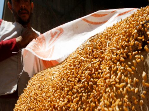 FCI sells 5.08 lakh tn wheat to bulk consumers in 3rd round of e-auction