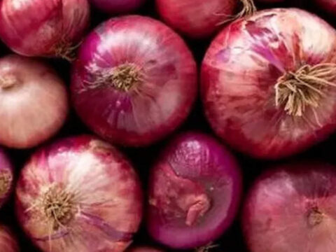 commerce: No ban on onion exports; USD 523 million exported during Apr-Dec 2022: Commerce ministry