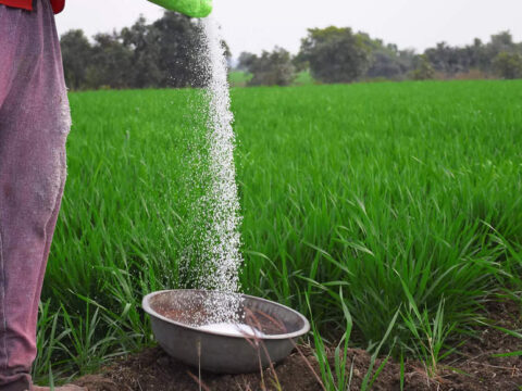 India's fertiliser imports up 3.9pc to 19.04 lakh ton in January