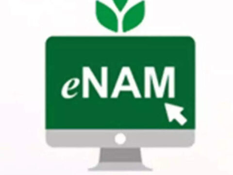 Government looks to integrate 100 more interstate mandis with e-NAM