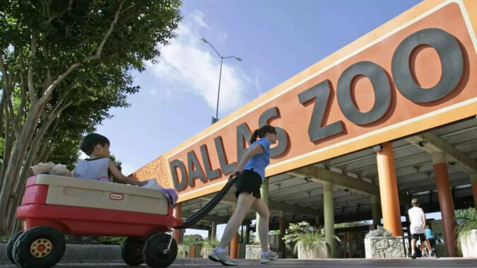 Monkeys stolen from Dallas Zoo