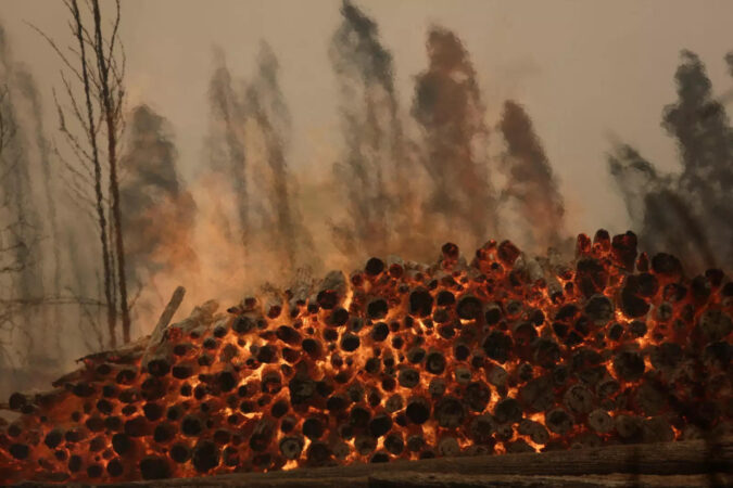 Firefighters battle dozens of wildfires in Chile, death toll at 22