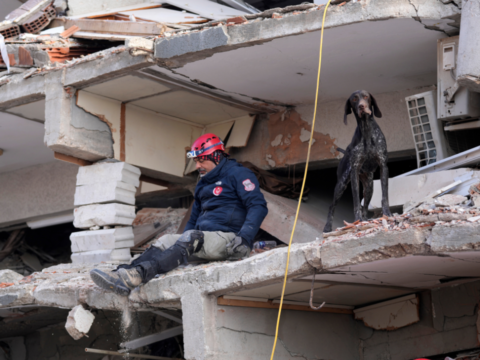 Turkey-Syria quake: Rescue teams find more survivors