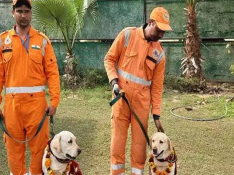 Ndrf: Turkey earthquake: NDRF team, dog squad members return after 10-day rescue operation