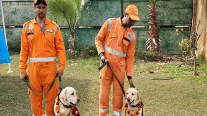 Ndrf: Turkey earthquake: NDRF team, dog squad members return after 10-day rescue operation