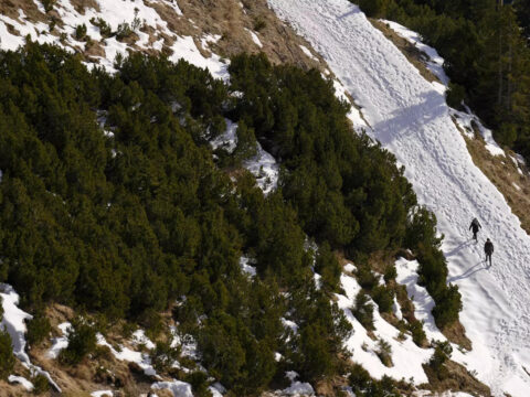 Austrian children take government to court over climate