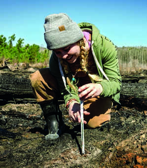 In a first, US startup plants carbon-guzzler GM trees