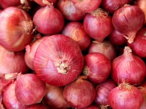 Govt agencies to buy red onion as prices plunge on surplus output