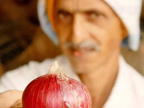 Nafed to begin onion procurement from 3 mandis in Gujarat from Thursday