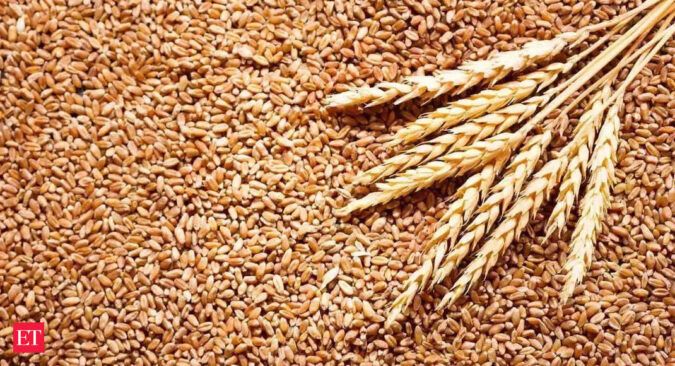 India exports wheat worth Rs 11,728.36 crore during Apr-Jan of this fiscal: Goverment