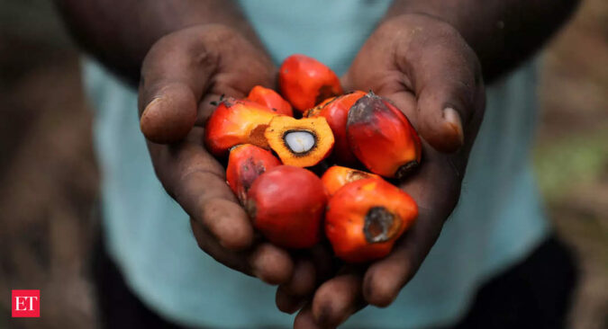 india palm oil imports: Top palm oil buyer India's February imports drop to 8-month low