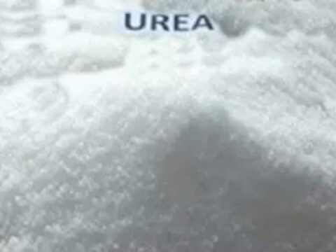 india potash limited: Centre allows import of urea through India Potash till March 2024