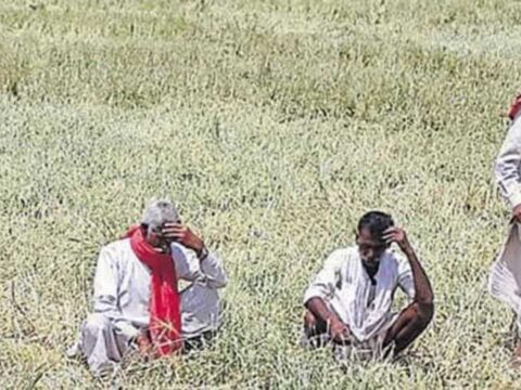 Sizzling heat wave puts India’s farm sector and economy at risk