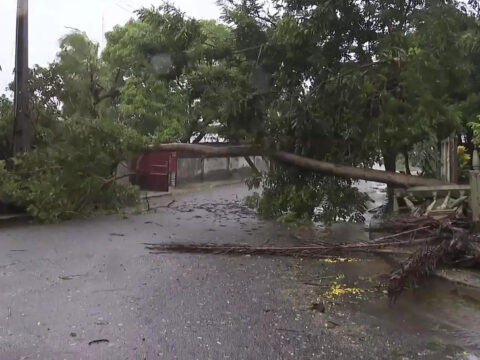 Hundreds dead as Cyclone Freddy wrecks Malawi, Mozambique