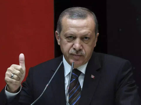 Turkey's Erdogan says Ukraine grain deal extended