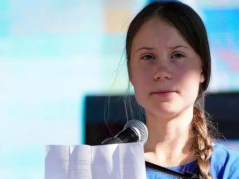 Thunberg: Greta Thunberg, climate activists get court nod to sue Swedish state