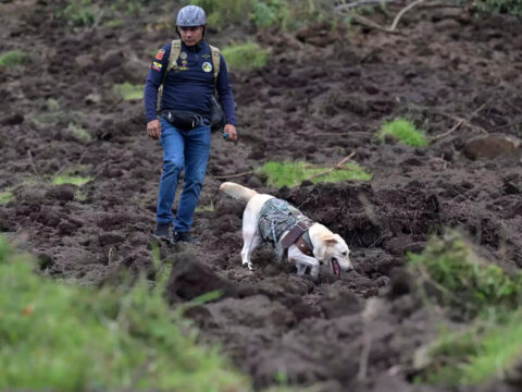 Landslide in Ecuador kills at least 7, with dozens missing