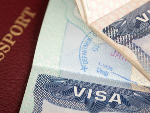 Wait time for US visitor's visa interview in India cut by 60% this year, says official