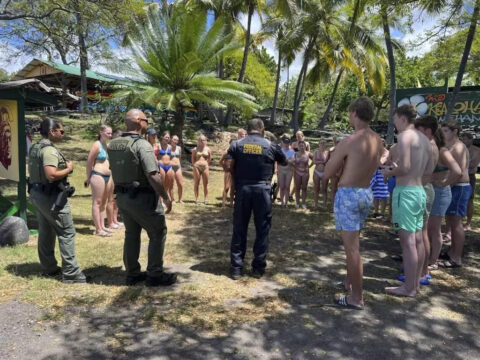 Hawaii: Hawaii authorities say 33 swimmers were harassing dolphins