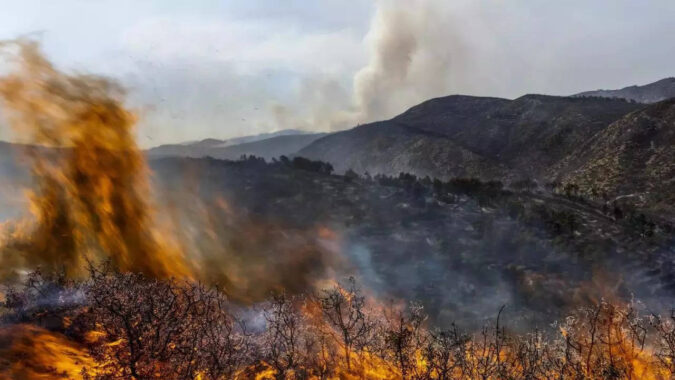 Asturias As Temperatures Hit Record Highs: Wildfires ravage Spain's Asturias as temperatures hit record highs