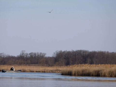 Indian, Romanian families found dead crossing into US from Canada