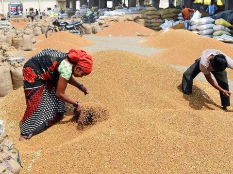 Wheat Procurement: India plans to relax wheat procurement norms to replenish stocks