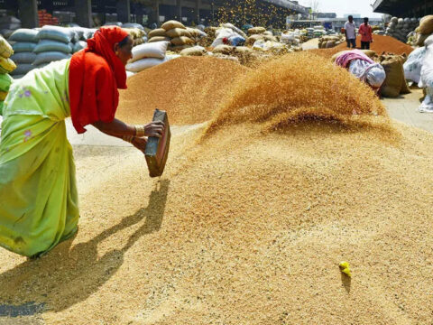 Wheat quality norms likely to be eased