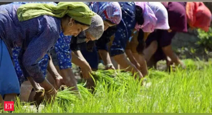 Natural Farming: About 1.5 lakh farmers practising natural farming in Himachal to be certified under PK3Y in FY24