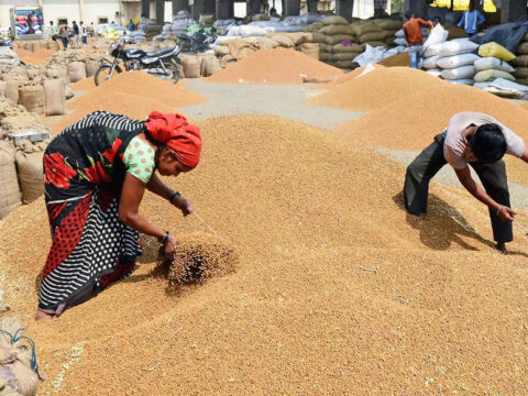 Wheat output may be below govt estimate of 112 mt: Agriwatch