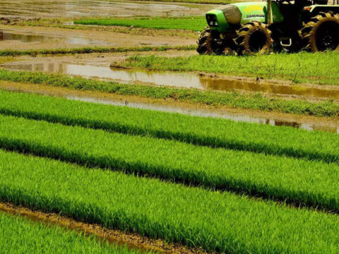 Atal Innovation Mission, NITI Aayog collaborate with ATMAs to promote agri innovation