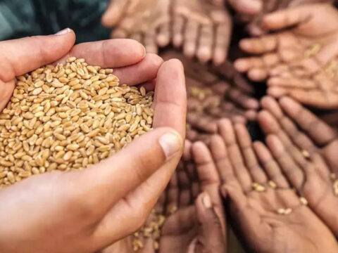 lalitpur: Scanner on private wheat purchases at Uttar Pradesh's Lalitpur