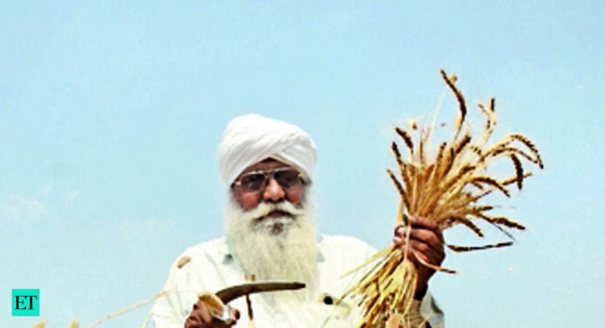 Wheat procurement 12% higher so far