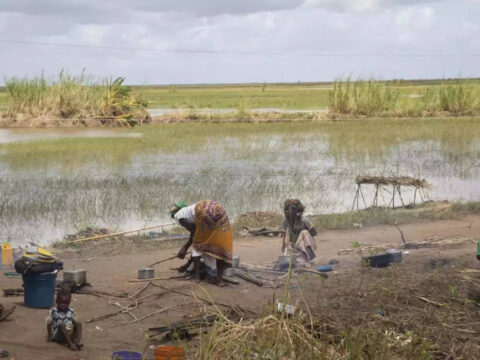 Mozambique Cyclone: Mozambique works to contain cholera outbreak after cyclone