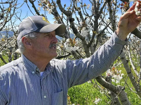 California Beekeepers: California storms hit beekeepers, but honey outlook's sweet