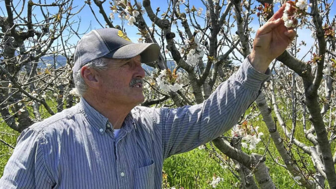 California Beekeepers: California storms hit beekeepers, but honey outlook's sweet