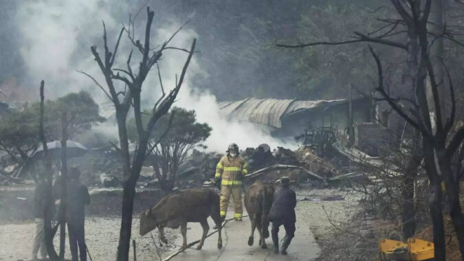 Wildfire In South Korean Seaside City: 1 dead, hundreds flee wildfire in South Korean seaside city